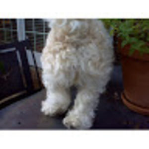 Meet your Posher, Carlynn